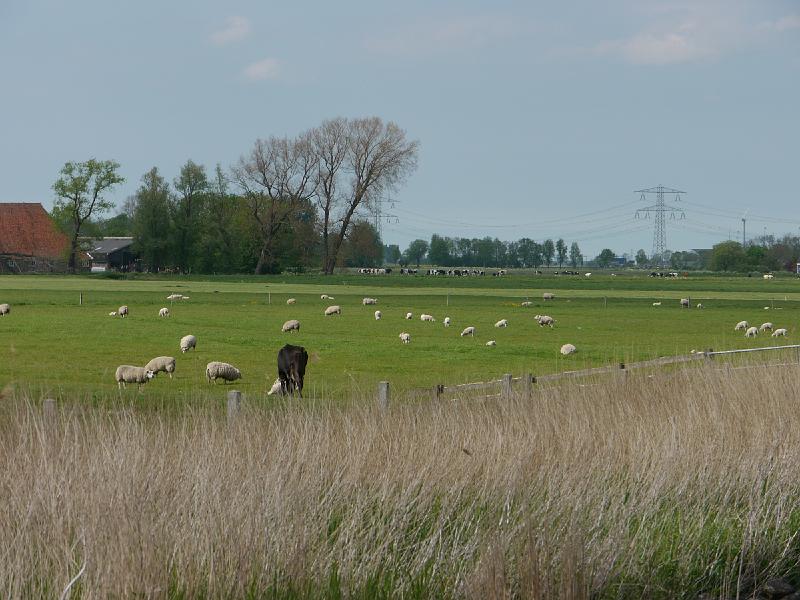 2016.05 Fryslan Bootstour - 31.jpg